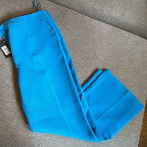 NWT Bright Blue Trousers